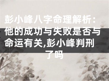 彭小峰八字命理解析：他的成功与失败是否与命运有关,彭小峰判刑了吗