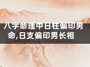 八字命理中日柱偏印男命,日支偏印男长相