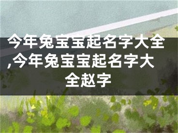 今年兔宝宝起名字大全,今年兔宝宝起名字大全赵字