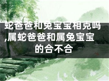 蛇爸爸和兔宝宝相克吗,属蛇爸爸和属兔宝宝的合不合