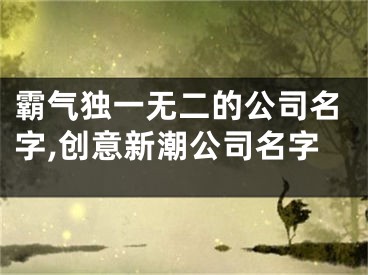 霸气独一无二的公司名字,创意新潮公司名字