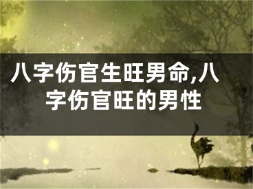 八字伤官生旺男命,八字伤官旺的男性