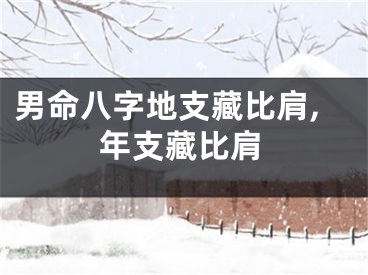 男命八字地支藏比肩,年支藏比肩