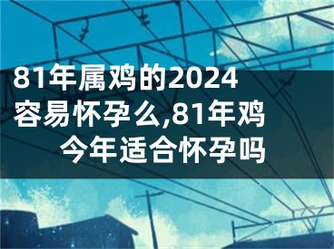 81年属鸡的2024容易怀孕么,81年鸡今年适合怀孕吗