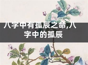 八字中有孤辰之命,八字中的孤辰
