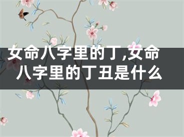 女命八字里的丁,女命八字里的丁丑是什么