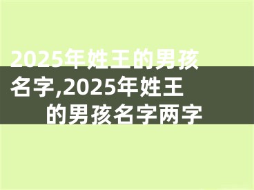 2025年姓王的男孩名字,2025年姓王的男孩名字两字