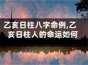 乙亥日柱八字命例,乙亥日柱人的命运如何