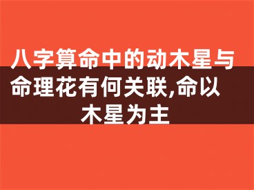 八字算命中的动木星与命理花有何关联,命以木星为主