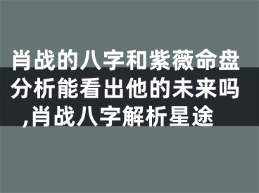 肖战的八字和紫薇命盘分析能看出他的未来吗,肖战八字解析星途