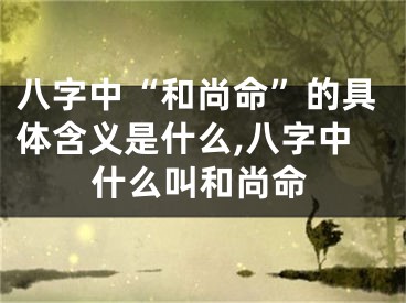 八字中“和尚命”的具体含义是什么,八字中什么叫和尚命