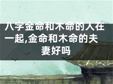 八字金命和木命的人在一起,金命和木命的夫妻好吗