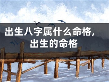 出生八字属什么命格,出生的命格
