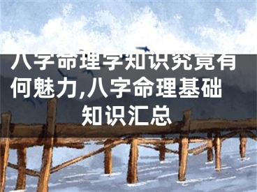 八字命理学知识究竟有何魅力,八字命理基础知识汇总