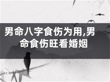 男命八字食伤为用,男命食伤旺看婚姻