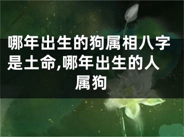 哪年出生的狗属相八字是土命,哪年出生的人属狗