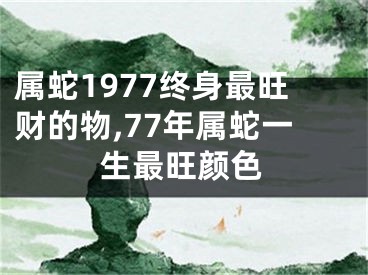 属蛇1977终身最旺财的物,77年属蛇一生最旺颜色