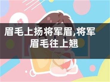 眉毛上扬将军眉,将军眉毛往上翘