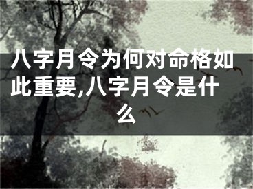 八字月令为何对命格如此重要,八字月令是什么