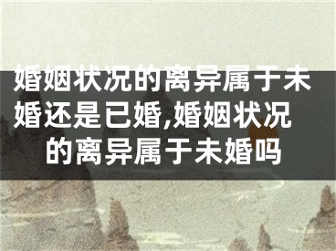婚姻状况的离异属于未婚还是已婚,婚姻状况的离异属于未婚吗