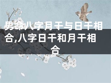 男命八字月干与日干相合,八字日干和月干相合