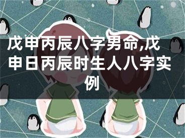 戊申丙辰八字男命,戊申日丙辰时生人八字实例