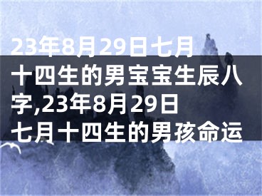 23年8月29日七月十四生的男宝宝生辰八字,23年8月29日七月十四生的男孩命运