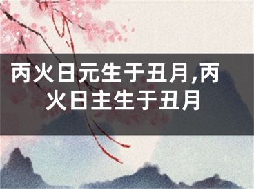 丙火日元生于丑月,丙火日主生于丑月