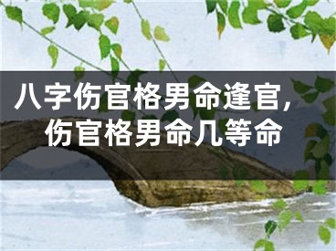 八字伤官格男命逢官,伤官格男命几等命