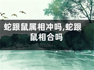 蛇跟鼠属相冲吗,蛇跟鼠相合吗