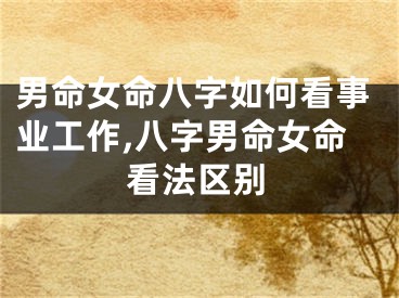 男命女命八字如何看事业工作,八字男命女命看法区别