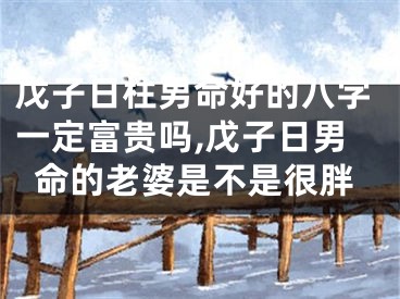 戊子日柱男命好的八字一定富贵吗,戊子日男命的老婆是不是很胖