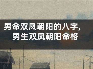 男命双凤朝阳的八字,男生双凤朝阳命格