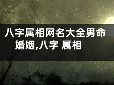 八字属相网名大全男命婚姻,八字 属相