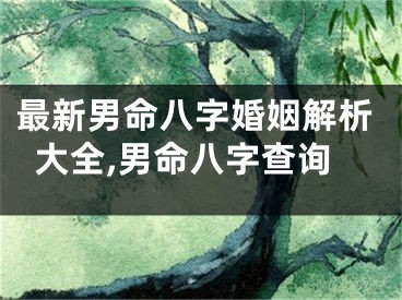 最新男命八字婚姻解析大全,男命八字查询