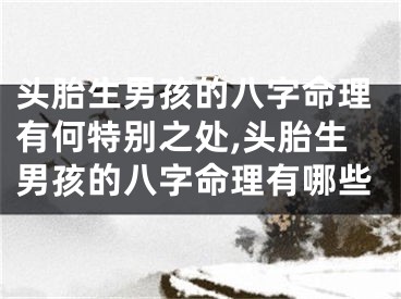 头胎生男孩的八字命理有何特别之处,头胎生男孩的八字命理有哪些