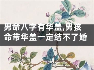 男命八字有华盖,男孩命带华盖一定结不了婚