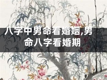八字中男命看婚姻,男命八字看婚期