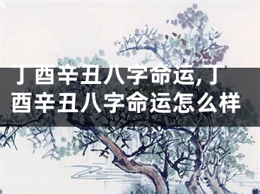 丁酉辛丑八字命运,丁酉辛丑八字命运怎么样