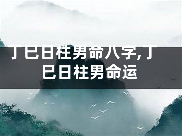 丁巳日柱男命八字,丁巳日柱男命运
