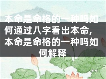 本命是命格的一种吗如何通过八字看出本命,本命是命格的一种吗如何解释