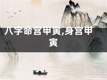 八字命宫甲寅,身宫甲寅