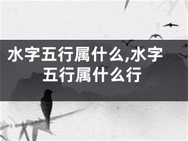 水字五行属什么,水字五行属什么行