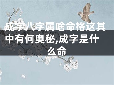 成字八字属啥命格这其中有何奥秘,成字是什么命