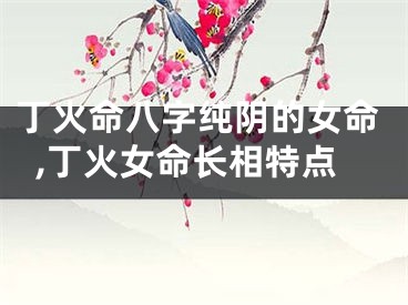 丁火命八字纯阴的女命,丁火女命长相特点