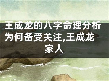 王成龙的八字命理分析为何备受关注,王成龙家人