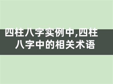 四柱八字实例中,四柱八字中的相关术语