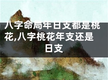 八字命局年日支都是桃花,八字桃花年支还是日支