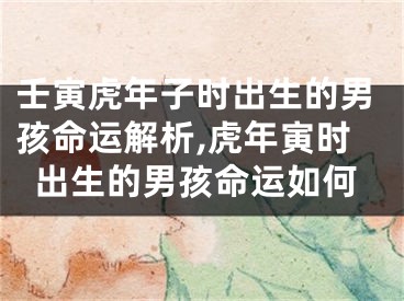 壬寅虎年子时出生的男孩命运解析,虎年寅时出生的男孩命运如何