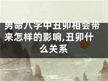男命八字中丑卯相会带来怎样的影响,丑卯什么关系